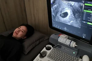 Ngo Thanh Van's Life Journey: Embracing Her First Pregnancy - image 4
