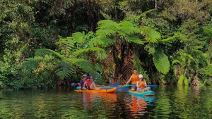 Summer Escape: The Whispering Waters of Pa Sy Waterfall in Mang Den - image 2