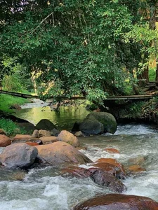 Summer Escape: The Whispering Waters of Pa Sy Waterfall in Mang Den - image 7
