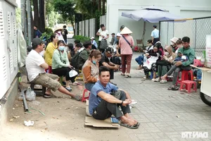 The Long Wait: Vietnamese Workers Travel 250km and Brave Sleepless Nights for Korean Farm Visas - image 3