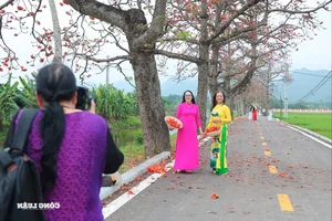 Red Silk Cotton Flowers Bloom in Doan Nu Village: A Stunning Hanoi Getaway - image 2