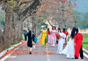 Red Silk Cotton Flowers Bloom in Doan Nu Village: A Stunning Hanoi Getaway - image 3