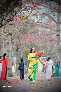 Red Silk Cotton Flowers Bloom in Doan Nu Village: A Stunning Hanoi Getaway - image 0