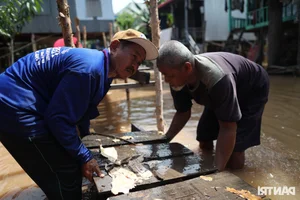 Mekong Delta Floating Season: A Journey Through the Nine Dragons Region - image 1