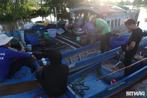 Mekong Delta Floating Season: A Journey Through the Nine Dragons Region - image 7