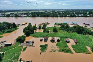 Mekong Delta Floating Season: A Journey Through the Nine Dragons Region - image 8