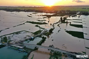Mekong Delta Floating Season: A Journey Through the Nine Dragons Region - image 4