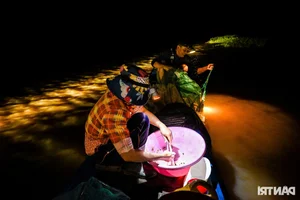 Mekong Delta Floating Season: A Journey Through the Nine Dragons Region - image 6