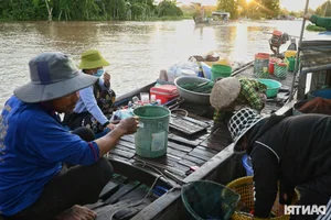 Mekong Delta Floating Season: A Journey Through the Nine Dragons Region - image 0