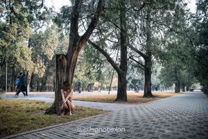 Modern Aesthetics and Fashion Trends in Chinese Modeling - image 70