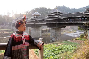 The Architectural Marvel of the Dong Ethnic Group's Wind and Rain Bridges - image 7