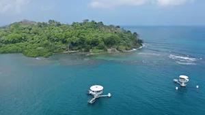 Scientist Breaks World Record for the Longest Time Living in an Underwater Habitat - image 8