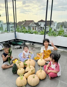 Urban Farming Success: How One Rooftop Garden Feeds a Family of Nine - image 7