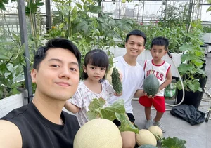 Urban Farming Success: How One Rooftop Garden Feeds a Family of Nine - image 0