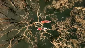 Exploring the Ba River: A Cultural Journey in Central Vietnam - image 6