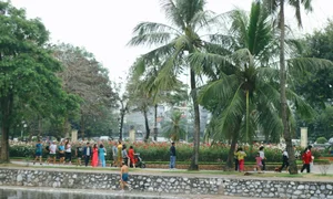 Thong Nhat Park Rose Garden Becomes Hanoi's Ultimate Check-In Hotspot - image 3