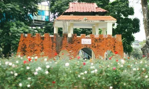 Thong Nhat Park Rose Garden Becomes Hanoi's Ultimate Check-In Hotspot - image 2