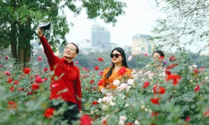 Thong Nhat Park Rose Garden Becomes Hanoi's Ultimate Check-In Hotspot - image 5