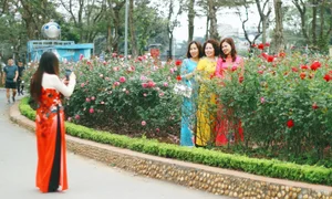 Thong Nhat Park Rose Garden Becomes Hanoi's Ultimate Check-In Hotspot - image 10
