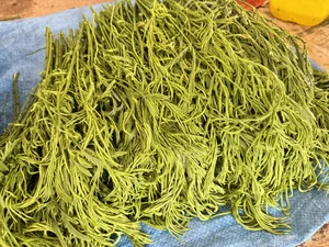 Exploring the Exotic Flavors of Northwest Vietnam's Local Markets - image 7