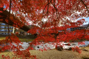 Autumn in Fukushima: A Breathtaking Display of Fall Foliage in Japan - image 7