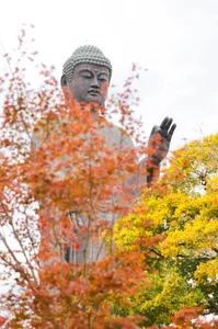 Autumn in Fukushima: A Breathtaking Display of Fall Foliage in Japan - image 8