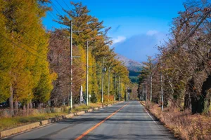Autumn in Fukushima: A Breathtaking Display of Fall Foliage in Japan - image 6