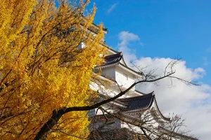 Autumn in Fukushima: A Breathtaking Display of Fall Foliage in Japan - image 9