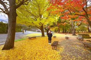 Autumn in Fukushima: A Breathtaking Display of Fall Foliage in Japan - image 10