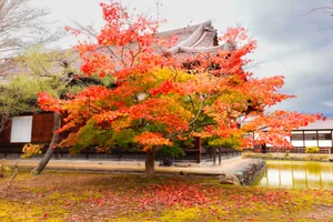 Autumn in Fukushima: A Breathtaking Display of Fall Foliage in Japan - image 5
