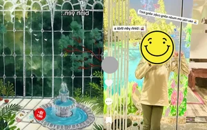 The Risks of Viral Content: Analyzing the Distorted 18+ Healing Trend - image 5