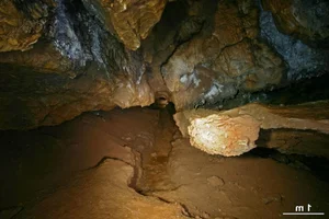 The Fascinating Mystery of Prehistoric Cave Handprints - image 7
