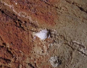 The Fascinating Mystery of Prehistoric Cave Handprints - image 3