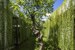 The Stunning Green 'Drawer House' in Vung Tau Featured in US Media - image 7