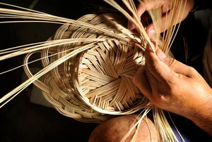 From Trash to Treasure: Common Items Now Worth a Fortune - image 0