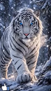 129+ Stunning Tiger Images Capturing the Raw Power of the Wild - image 3