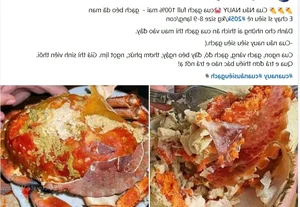 Affordable Premium Roe Crabs: The Booming Online Seafood Market Trend - image 5