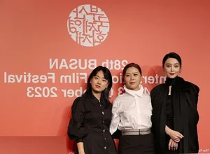 Fan Bingbing Radiates on International Stage but Faces Criticism at Home - image 9