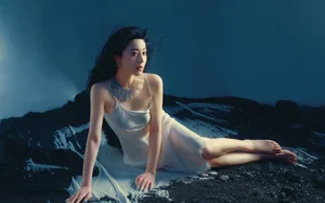 Fan Bingbing Radiates on International Stage but Faces Criticism at Home - image 3