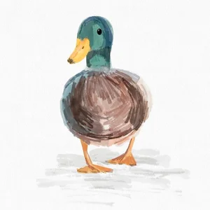 65+ Cute Duck Drawing Ideas: Simple and Adorable Sketches for All Ages - image 13