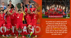 A New Era for Vietnam Football: Expert Analysis on the Post-Troussier Period - image 10