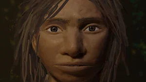 The Mystery of the Ghost Lineage: Archaic Human DNA in Modern Populations - image 4