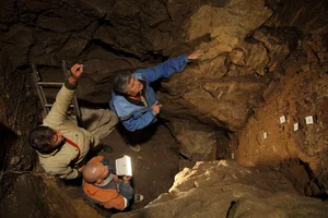 The Mystery of the Ghost Lineage: Archaic Human DNA in Modern Populations - image 2