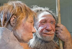 The Mystery of the Ghost Lineage: Archaic Human DNA in Modern Populations - image 3