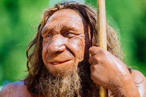The Mystery of the Ghost Lineage: Archaic Human DNA in Modern Populations - image 5