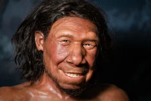 The Mystery of the Ghost Lineage: Archaic Human DNA in Modern Populations - image 6