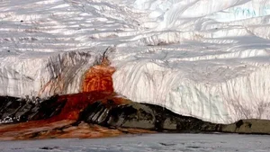 The Science Behind Blood Falls: Antarctica’s Crimson Wonder and Its Subglacial Secrets - image 9
