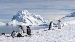 The Science Behind Blood Falls: Antarctica’s Crimson Wonder and Its Subglacial Secrets - image 2