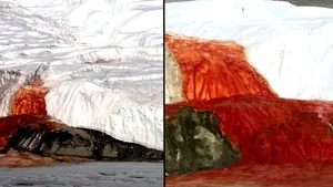 The Science Behind Blood Falls: Antarctica’s Crimson Wonder and Its Subglacial Secrets - image 6