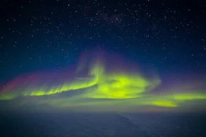 The Science Behind Blood Falls: Antarctica’s Crimson Wonder and Its Subglacial Secrets - image 1